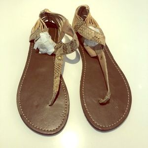 Brand New Steve Madden Sandals